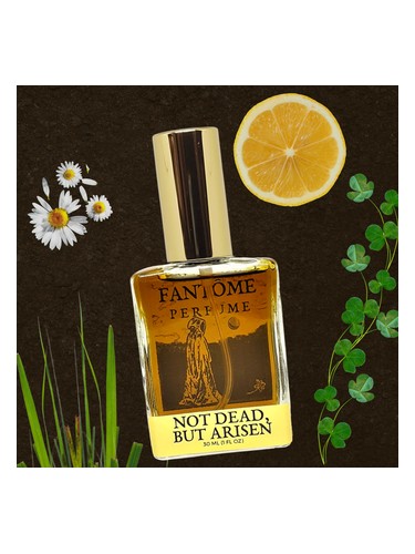 Not Dead, but Arisen Fantôme perfume by Fantome