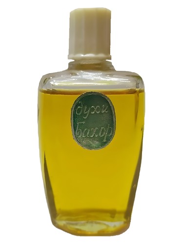 Бахор by Tashkent Perfume factory LOLA