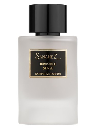 Invisible Sense by Sanchez