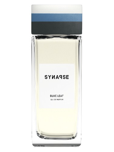 Blue Leaf by Synapse