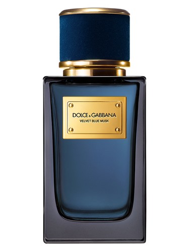 Velvet Blue Musk Dolce&Gabbana perfume