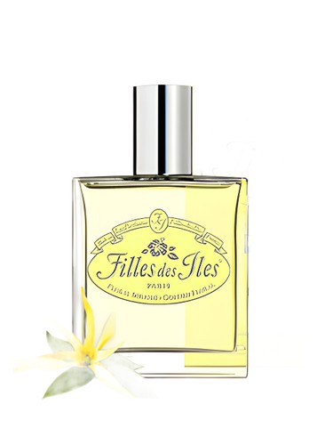 Floral Solaire by Filles des Iles