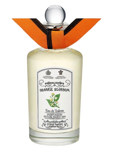 Orange Blossom