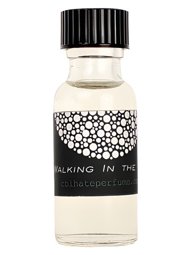 Walking in the Air by CB I Hate Perfume