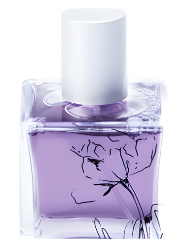 Sands of Morocco by Infusion Organique