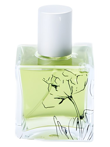 Buddha’s Fig by Infusion Organique