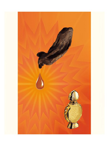 Shatha Al Oudh by Rasasi