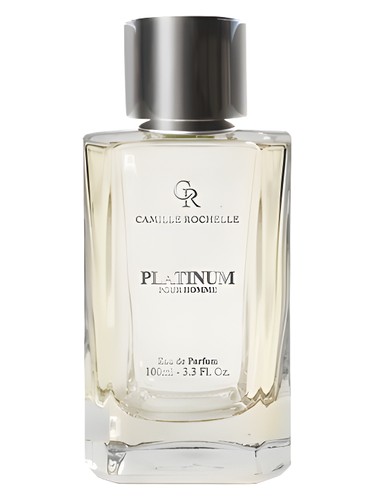 Platinum Pour Homme by Camille Rochelle