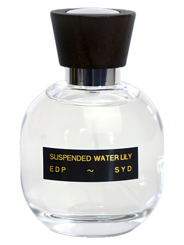 Suspended Water Lily by SYD Botanica