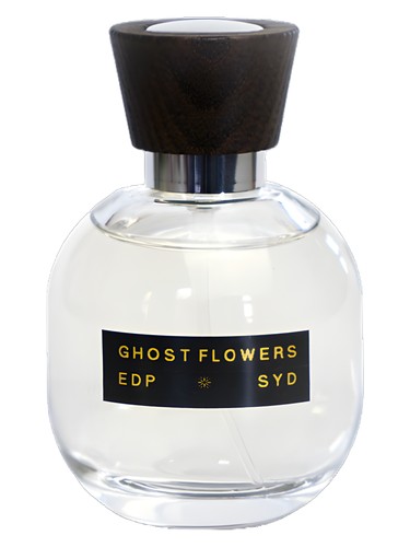 Ghost Flowers by SYD Botanica
