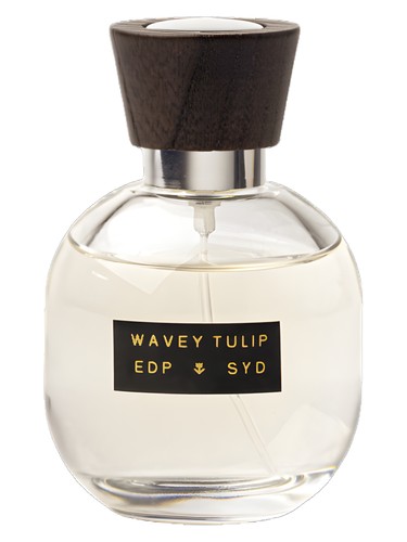 Wavey Tulip by SYD Botanica