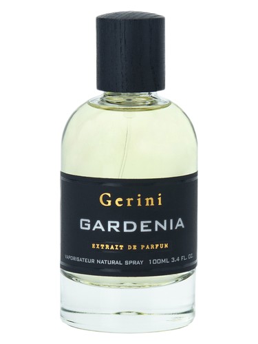 Gardenia by Gerini