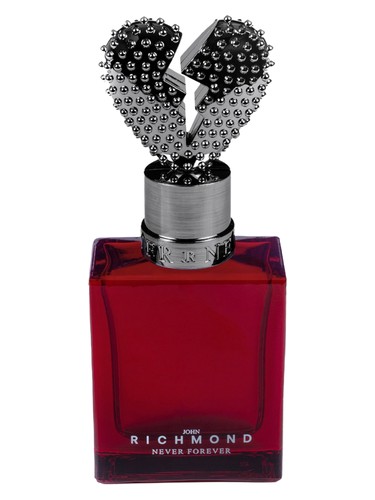 Never Forever by John Richmond