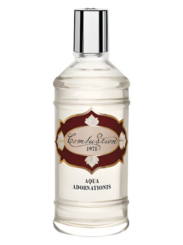 Combustion 1978 by LabSolue