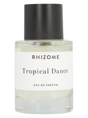 Tropical Dance by Rhizome