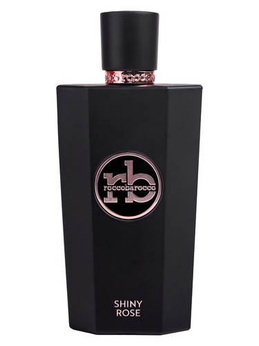 Shiny Rose by Roccobarocco