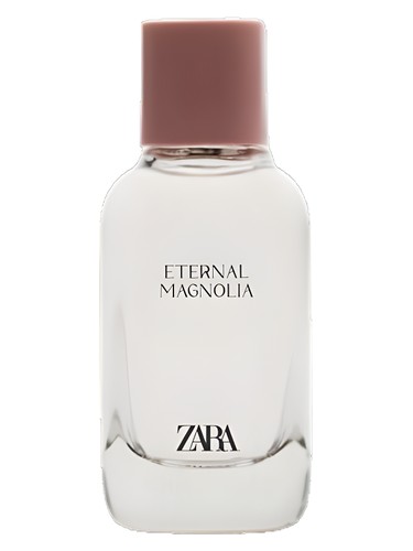 Eternal Magnolia by Zara