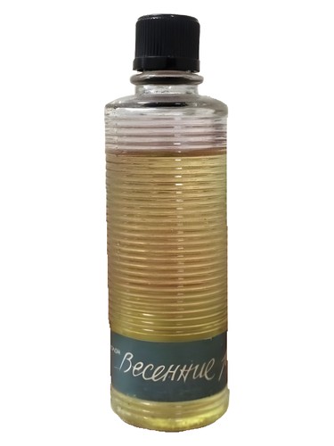 Pavasara strauti (Весенние ручьи) by Dzintars