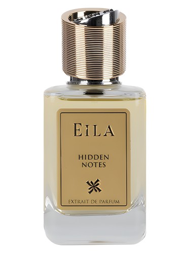 Hidden Notes by Eila