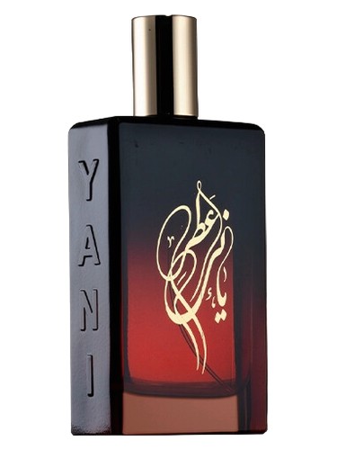 Mangrove Jungle by YANI