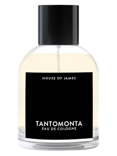 Tantomonta by House Of James