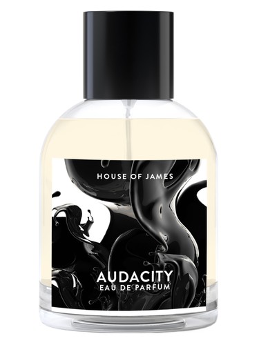 Audacity by House Of James