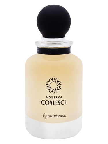 Agar Intense by House of Coalesce