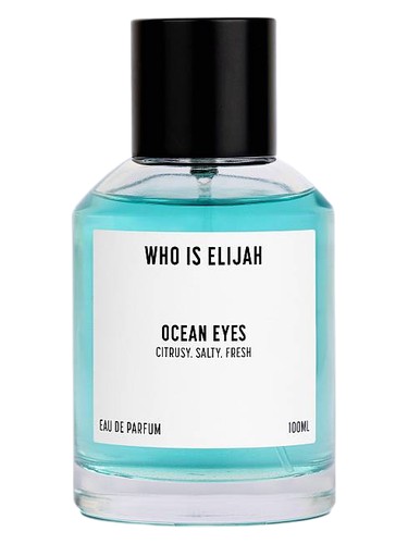 Ocean Eyes by Who is Elijah