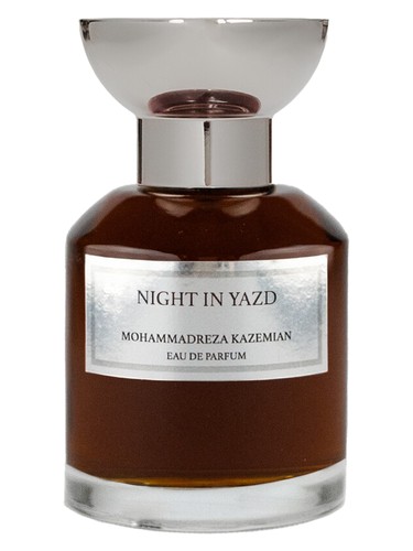 Night in Yazd by Mohammadreza Kazemian