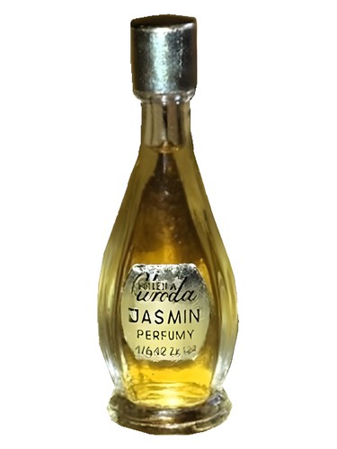 Jasmin by Pollena Uroda