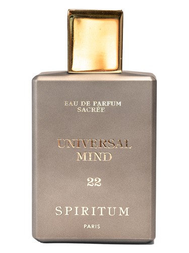 22 Universal Mind by Spiritum