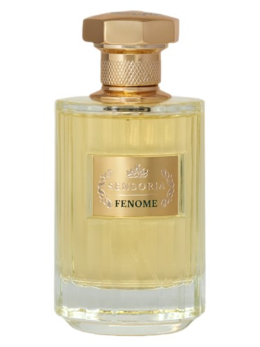 Fenome by Sensoria