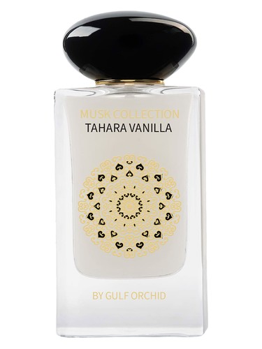 Tahara Vanilla by Gulf Orchid