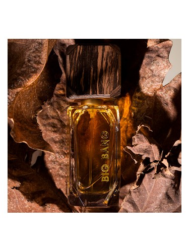 Big Bang! by Natvm Parfvm