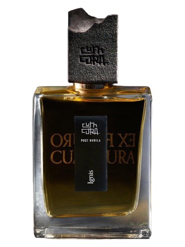 Ignis by Cum Cura