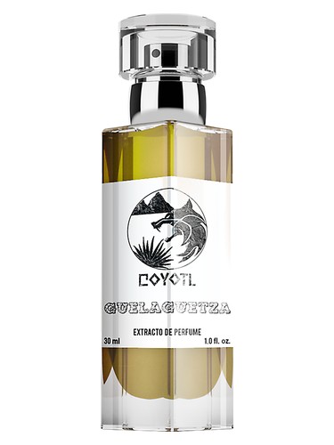 Guelaguetza by Coyotl