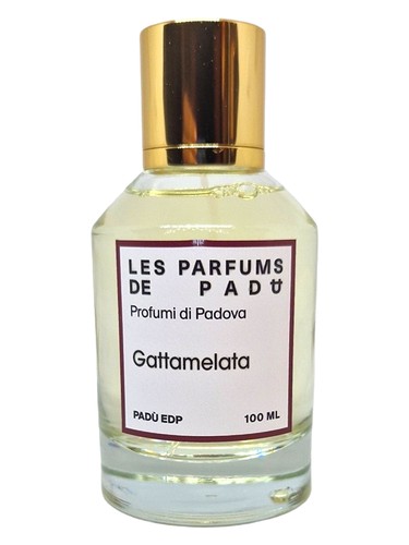 Gattamelata Padù perfume by Padu