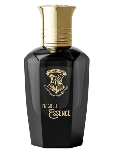 Ambition by Harry Potter