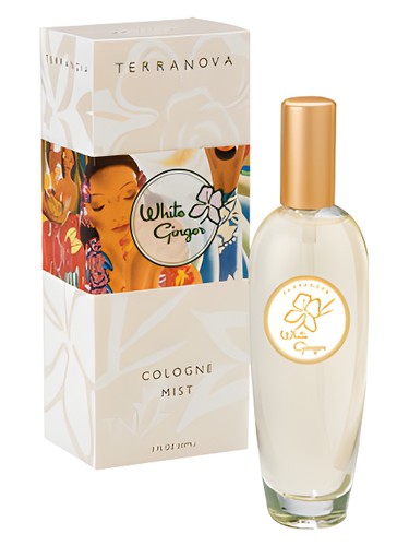 White Ginger by TerraNova