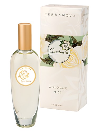 Gardenia by TerraNova