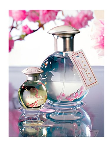 Sakura and Green Tea