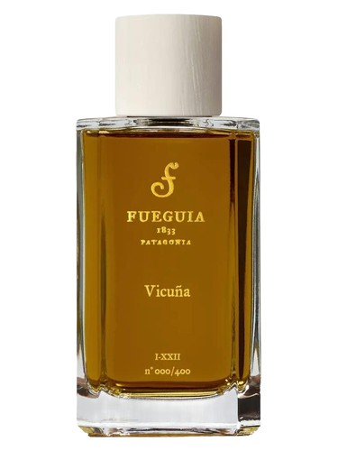 Vicuña by Fueguia 1833