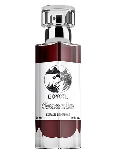 Gueela by Coyotl