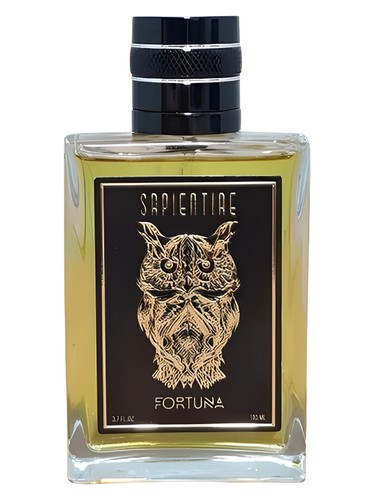 Fortuna by Sapientiae Niche