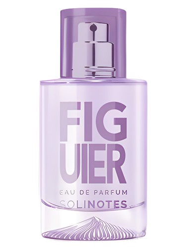 Figuier by Solinotes