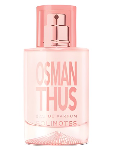 Osmanthus by Solinotes