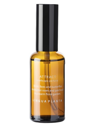 Attract by Lingua Planta