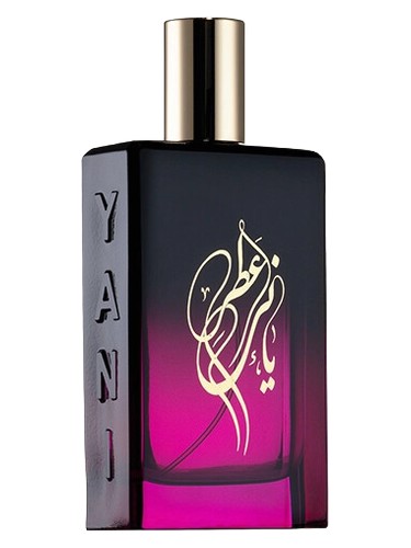 Bougainvillea by YANI