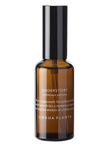 Understory by Lingua Planta