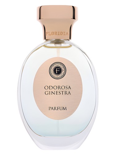 Odorosa Ginestra by Floridia Parfum